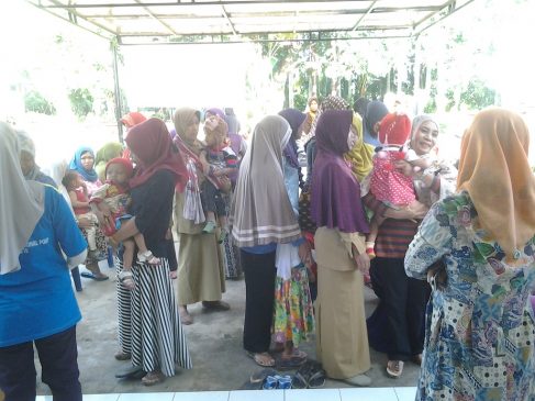 pelaksanaan Pekan Imunisasi Nasional